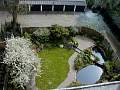 BackGarden2.jpg