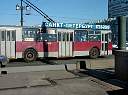 Bus.jpg