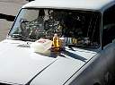 SaleInCar2.jpg